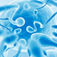 Image: Shutterstock